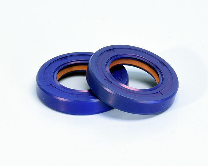 POLINI Τσιμούχες Στροφάλου Ptfe/fkm Για Derbi/PIAGGIO